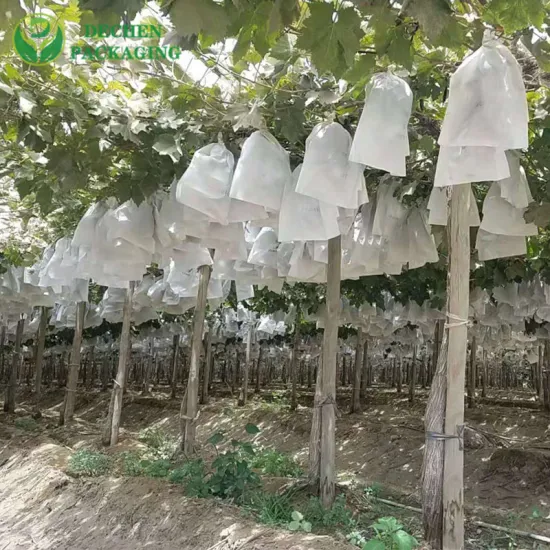 Borsa di protezione speciale per il controllo dei parassiti della frutta Borsa per la coltivazione di piante resistente ai raggi UV per uva da esterno per mango